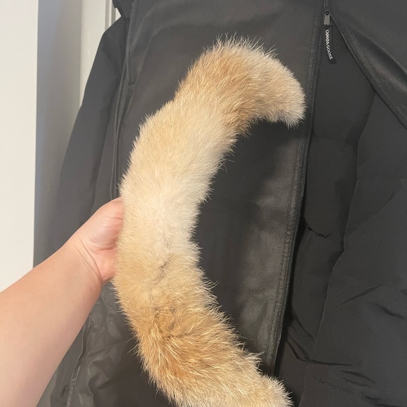 Shelburne parka Canada goose - Picture 7 of 10